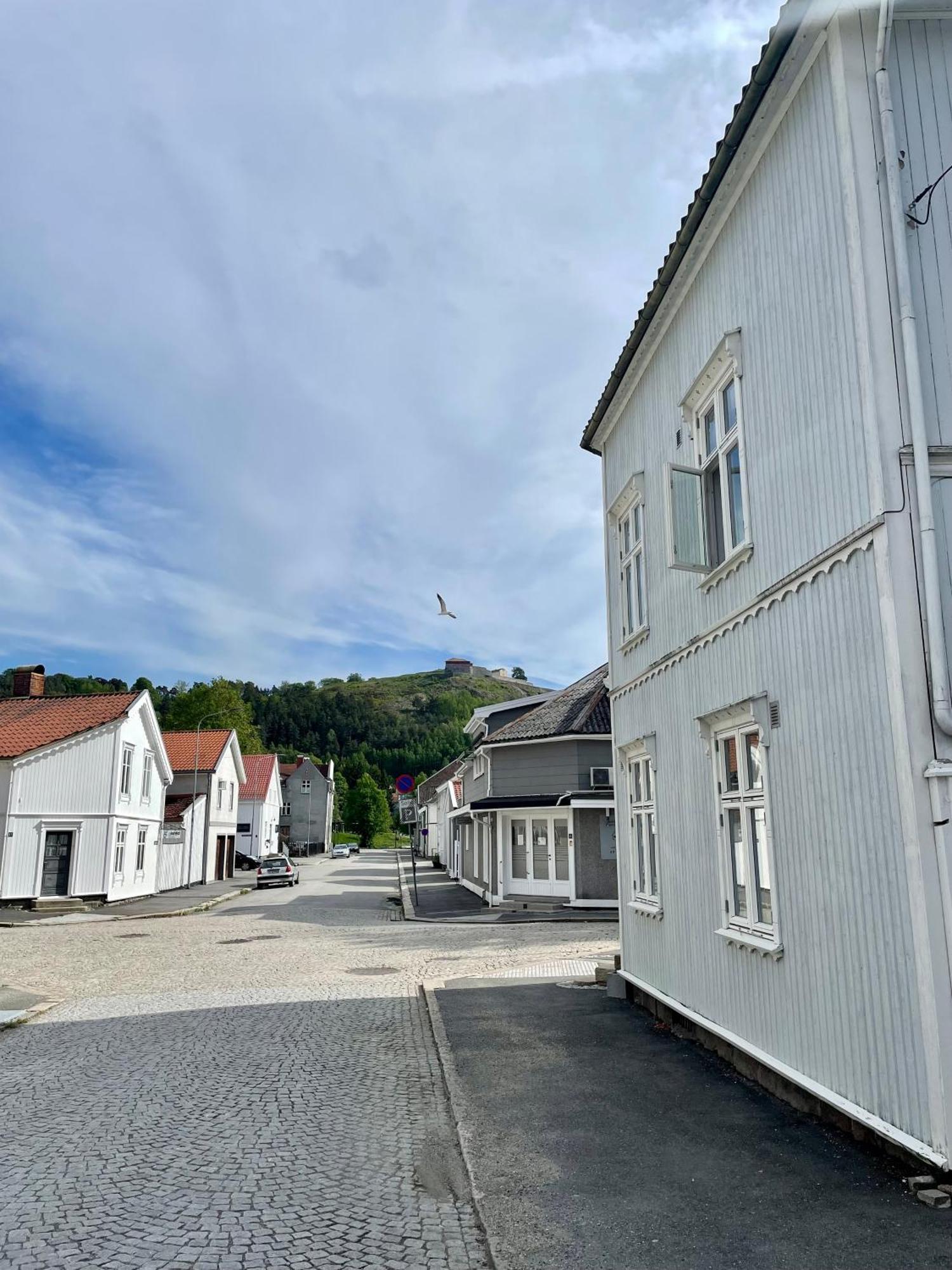 Sentral Og Fargerik Bygardsleilighet Halden Exterior foto